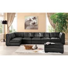 Wohnzimmer Sofa mit modernem echtem Leder Sofa Set (895)